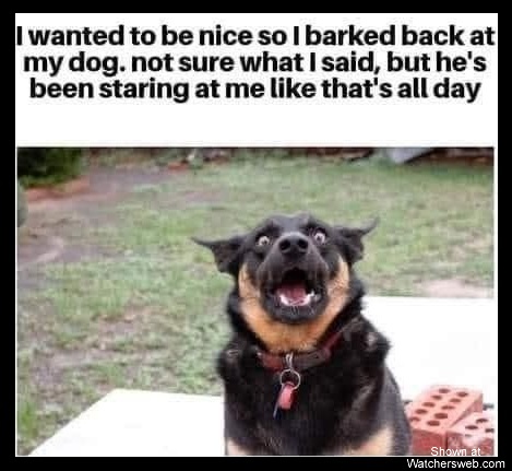 Barked Back #0