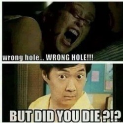 Did You Die?