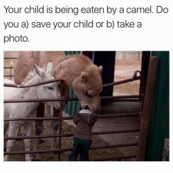 Photo Of Course