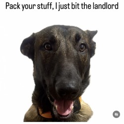 Pack Your Stuff