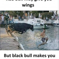 Red Bull