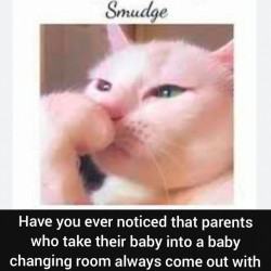 Smudge