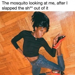 The Mosquito