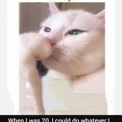 Thoughts By Smudge