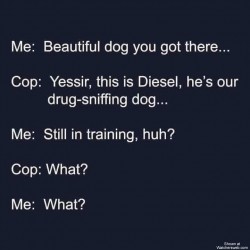 What?