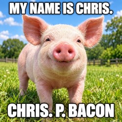 My Name Is Chris