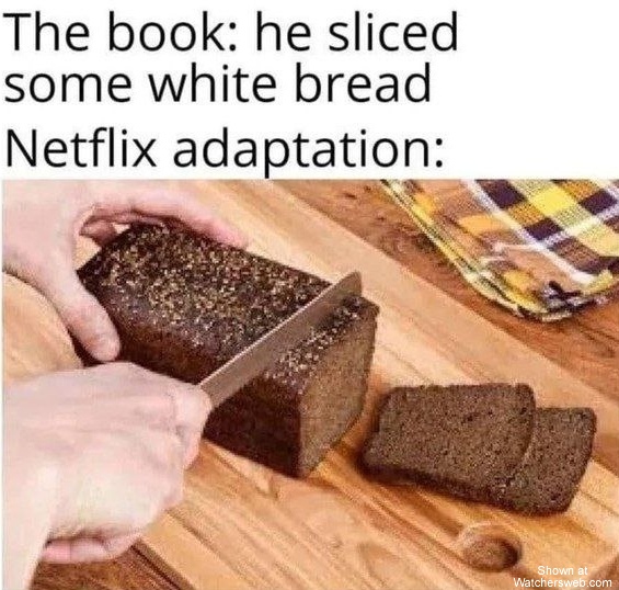 Netflix Adaption #0