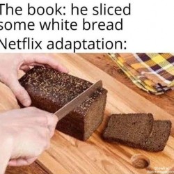 Netflix Adaption