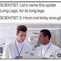 Not Kinky Enough