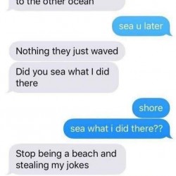 Sea You Later