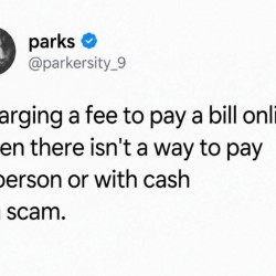 100%
