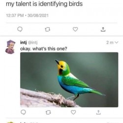 Talent