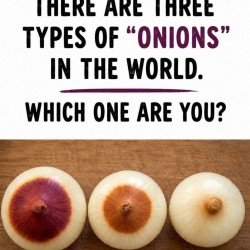 Onions
