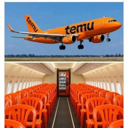 Temu