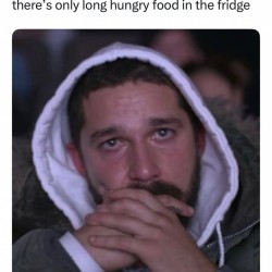 Real Pain