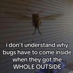 I Just Don’t Get It