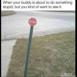 Stop