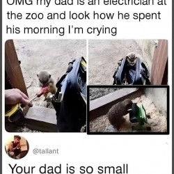 I’m Crying
