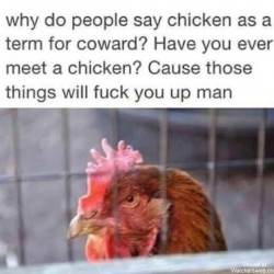 You’re A Chicken