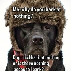 Why?