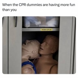 Looks Fun