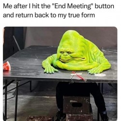 End Meeting