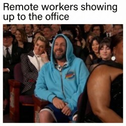 Remote Workers