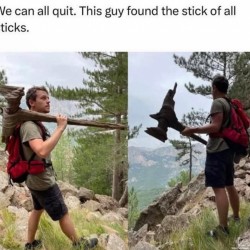 All Quit