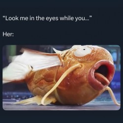Look Me In The Eyes!