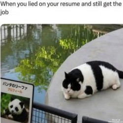 Liar