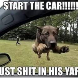 Start The Car