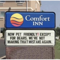 No Bears