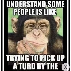 Trying To Understand