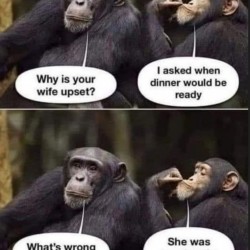 Fair Call
