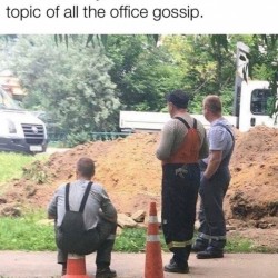 Oh Bob