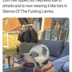 Silence Of The Lambs