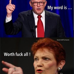 For The Aussies