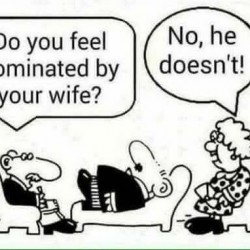 Do You Feel Dominated