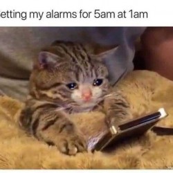 Setting Alarms
