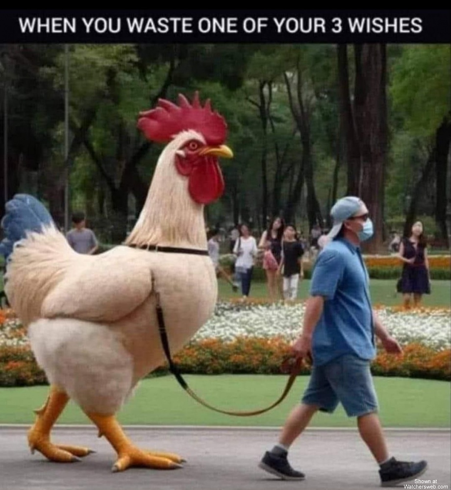 Wasted A Wish #0