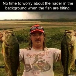 Fish Are Biting