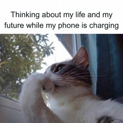 Life
