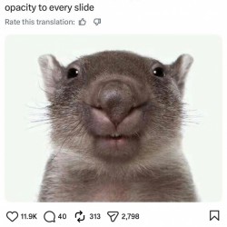 I Wonder
