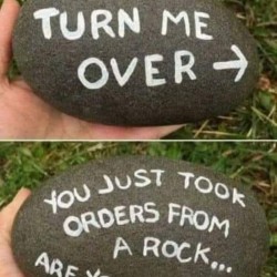 Turn Me Over
