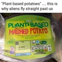 Plant Based