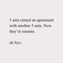 5 Ants