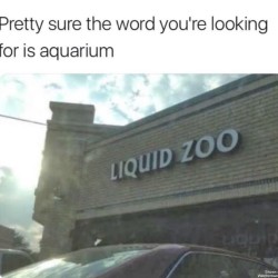 Liquid Zoo
