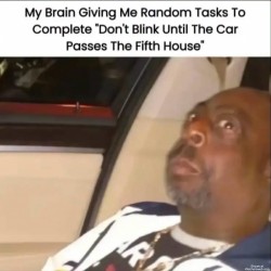 My Brain