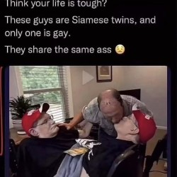 One Is Gay
