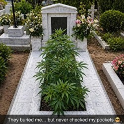 Rookie Mistake